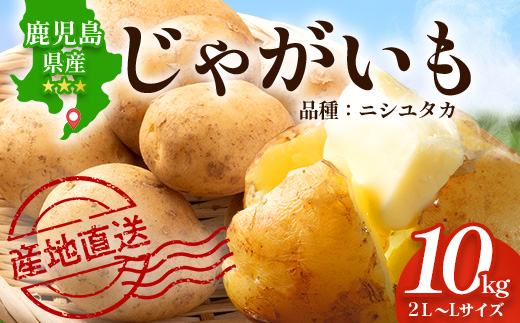 【先行予約】じゃがいも 馬鈴薯 (バレイショ) ≪2L～L≫ 約10kg×1箱 /ニシユタカ (約30個) ≪ 2026年3月20日頃より順次発送≫ CS-1｜産地直送 旬 ジャガイモ 芋 ポテト ばれいしょ 新じゃが 春じゃが 春作 鹿児島県 南大隅町 地域商社推進機構