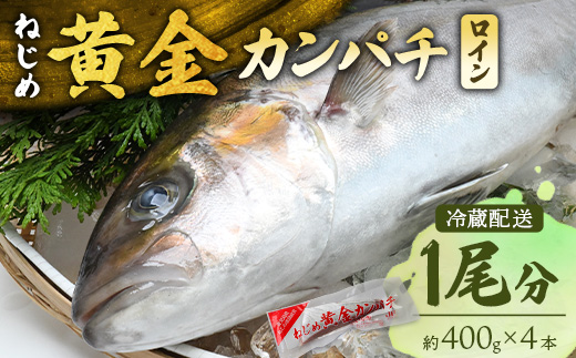 【配送日指定可能】鹿児島 ねじめ黄金カンパチ ロイン 1尾（約400g×4本）冷蔵便 JF-502 | 魚 直送 養殖 根占 さかな 身が引き締まった かんぱち 漁師 刺身 寿司 しゃぶしゃぶ ぷりぷり食感 鹿児島県 南大隅町 ねじめ漁業協同組合