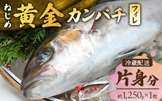 【配送日指定可能】鹿児島 ねじめ黄金カンパチ フィレ 片身分（約1,250g×1枚） 冷蔵便 JF-508 | 魚 直送 養殖 根占 さかな 身が引き締まった かんぱち 漁師 刺身 寿司 しゃぶしゃぶ ぷりぷり食感 鹿児島県 南大隅町 ねじめ漁業協同組合