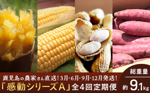 【定期便・年4回】農家の感動シリーズA(約9.1kg) FR-1｜冷凍焼き芋 ゴールドラッシュ とうもろこし 塩茹で 落花生 おおまさり ピーナッツ 芋 さつまいも 紅はるか 野菜定期便 旬 産地直送 サラダ 南大隅町