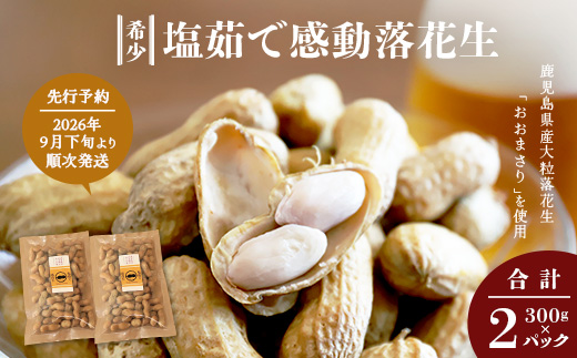 【先行予約 2026年9月下旬～順次発送】鹿児島県産 塩茹でジャンボ落花生（おおまさり） 300g×2パック 冷凍 FR-3 | ラッカセイ ピーナッツ 国産 国産最高級品種 おおまさり 大粒 柔らかい 歯ごたえ おやつ おつまみ ギフト お中元 お歳暮 鹿児島県 南大隅町 株式会社フォレスト