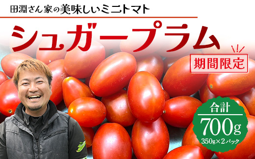 《期間限定》田淵さんちの美味しい ミニトマト シュガープラム（約700g）GP-1｜鹿児島県 南大隅 産地直送 旬 とまと トマト ミニトマト リコピン 完熟 甘い 高糖度 野菜 やさい 送料無料