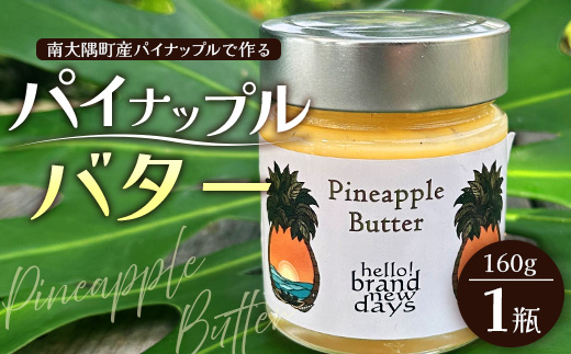 絶品！南大隅町産 パイナップルバター 1瓶 (160g×1個)｜パイナップル バター フルーツ ジャム 加工品 スプレッド 国産 南国フルーツ 手作り 鹿児島県  南大隅町 hello! brand new days　HB-1