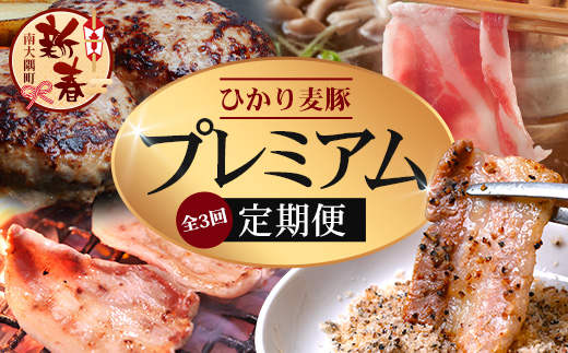 ［新春］【定期便全3回】ひかり麦豚 プレミアム定期便 ≪月替わりでしゃぶしゃぶ・焼肉・ハンバーグをお届け！≫ 冷凍 HM-11 | 精肉 お惣菜 肉 お肉 にく 豚肉 焼き肉 バーベキュー ロース肉 肩ロース バラ肉  真空冷凍 産地直送 小分け パック 手作り 鹿児島県 南大隅町 ひかり麦豚直売所