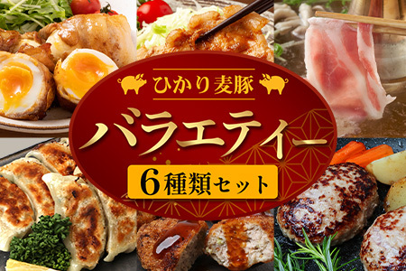 鹿児島県産 ☆＼＼ ひかり麦豚 バラエティーセット ／／☆ しゃぶ肉/ロース肉/バラ肉/ハンバーグ/メンチカツ/餃子 HM-13 | 肉 お肉 にく 豚肉 ロース 衣付き 真空冷凍 新鮮 小分け 産地直送 鹿児島県 南大隅町