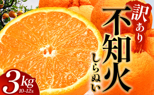 【数量限定・訳あり】しらぬい 約3㎏(10～12玉) MS-1｜不知火 柑橘 みかん ミカン 蜜柑 果物 生果 旬 フルーツ デコポン と同品種 国産 産地直送 家庭用 鹿児島県 南大隅町