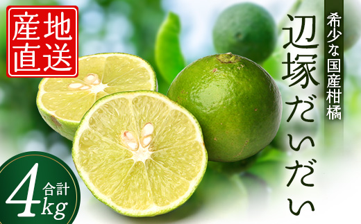 辺塚だいだい 約4kg NK-2｜果物 柑橘 辺塚だいだい へつか 産地直送 詰め合わせ 4kg 国産 新鮮 おすすめ 人気 南大隅町