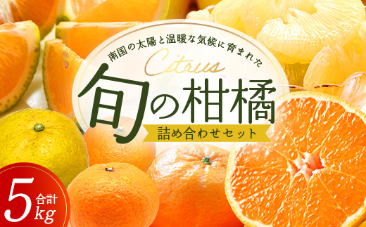 【数量限定】おたのしみ！旬の柑橘詰め合わせセット(４種約５kg) NK-4 ≪2026年1月中旬より準備が出来次第発送≫｜果物 柑橘 大将季 ぽんかん スイートスプリング 津之輝 麗江 サワーポメロ 南大隅町 産地直送 詰め合わせ 5kg 国産 数量限定 