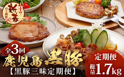 ［新春］≪全3回≫ 鹿児島県産 黒豚三昧 定期便 ♪ ＜ 黒豚味噌漬け 生姜焼き 生ハンバーグ ＞ ★☆＼＼ 黒豚ロース味噌漬け バナナマンの早起きせっかくグルメで紹介されました！！／／☆★ 南州農場 かごしま黒豚 NS-29 | 肉 お肉 豚肉 豚 にく ぶた 鹿児島黒豚 ハンバーグ 味噌漬け 生姜焼き おかず ジューシー お弁当 国産 肉定期便 鹿児島県 南大隅町 南州農場