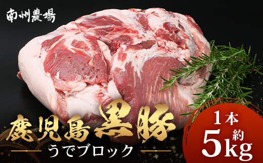 【南大隅町限定】かごしま黒豚 うでブロック（約5.0kg） NS-4 | 肉 豚肉 ぶた 豚 ブタ 黒豚 かごしま黒豚 うで ブロック 新鮮 産地直送 限定 鹿児島県 南大隅町 南州農場