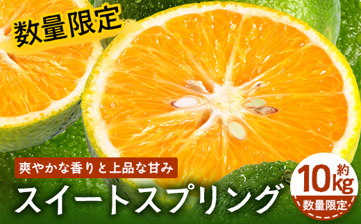 【先行予約】【数量限定】鹿児島県南大隅町産 スイートスプリング 約10kg【2025年12月中旬以降順次発送】 SK-11 | 柑橘 フルーツ 国産 果物 みかん 期間限定 数量限定 産地直送 もぎたて 新鮮 果汁 たっぷりミカン スイートスプリング 10kg 南大隅町 鹿児島県 島子農園