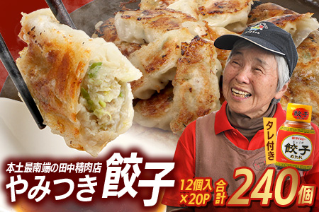 《リピーター続出！》佐多の田中肉屋 ニンニクたっぷりやみつき餃子 240個（12個入り×20パック） 餃子のタレ3本付き TA-2 | ぎょうざ 餃子 ギョウザ 豚肉 ひき肉 にんにく スタミナ餃子 焼くだけ 簡単 小分け 大容量 手作り お惣菜 おかず 冷凍 鹿児島県 南大隅町 田中精肉店