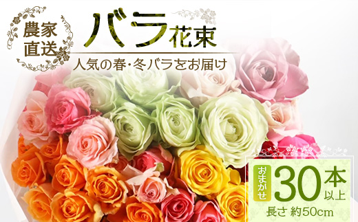 【人気の春・冬薔薇をお届け】 ばら農家直送 ！ バラ花束30本以上お届け(色はおまかせ) 【ギフト対応可】 ≪2026年1月1日～8日 日付指定不可≫ TB-16 │ ローズ 新鮮 花 フラワー 花束 ばら 薔薇 バラ 誕生日 記念日 結婚祝い ギフト プレゼント お祝い 贈り物 贈答 鹿児島県 南大隅町 富田バラ園