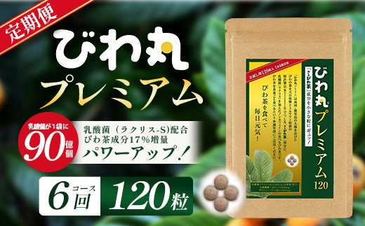 【定期便 全6回】≪6ヶ月連続で毎月お届け≫ びわ丸プレミアム ≪1回あたり(120粒入×1袋) ≫  健康補助食品 びわ茶含有加工食品 TO-11-NP | 国産 びわ茶 びわの葉 サプリメント 乳酸菌 ノンカフェイン ポリフェノール ネコポス 鹿児島県 南大隅町 十津川農場