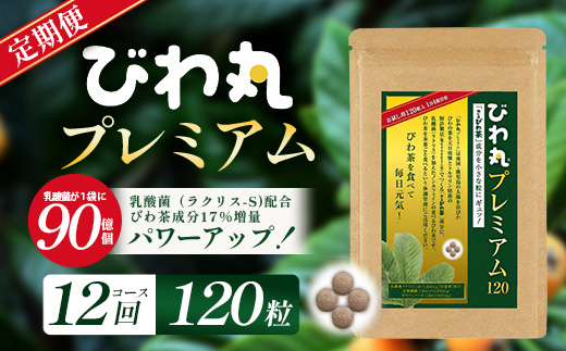 【定期便 全12回】≪12ヶ月連続で毎月お届け≫ びわ丸プレミアム ≪1回あたり(120粒入×1袋) ≫  健康補助食品 びわ茶含有加工食品  TO-12-NP| 国産 びわ茶 びわの葉 サプリメント 乳酸菌 ノンカフェイン ポリフェノール ネコポス 鹿児島県 南大隅町 十津川農場