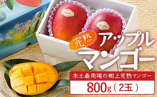 ≪先行予約・数量限定≫ ☆本土最南端☆佐多の果樹園で育てた 完熟アップルマンゴー 約800g ( 2玉 ) 【2026年7月上旬以降順次発送】 ST-406 ｜鹿児島県 南大隅 産地直送 旬 マンゴー フルーツ 果物 くだもの 