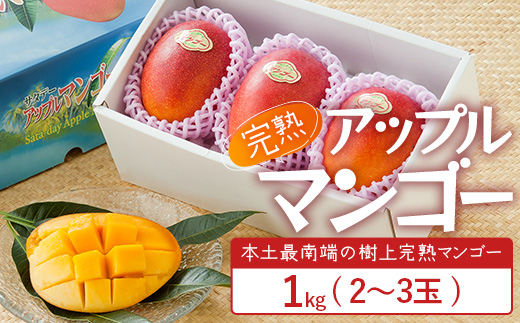 ≪先行予約・数量限定≫ ☆本土最南端☆佐多の果樹園で育てた 完熟アップルマンゴー 約1kg (2～3玉) 【2026年7月上旬以降順次発送】｜鹿児島県 南大隅 産地直送 旬 マンゴー フルーツ 果物 くだもの  ST-7407