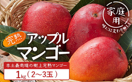≪先行予約・数量限定≫【訳あり】 ☆本土最南端☆佐多の果樹園で育てた 完熟アップルマンゴー約1kg (2～3玉) 家庭用【2026年7月上旬以降順次発送】 ST-409 ｜鹿児島県 南大隅 産地直送 旬 マンゴー フルーツ 果物 くだもの 