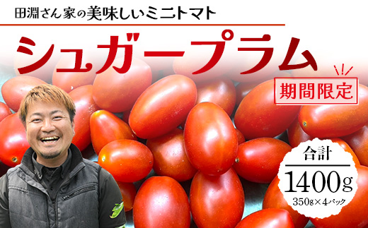 《期間限定》田淵さんちの美味しい ミニトマト シュガープラム（約1,400g）GP-2｜鹿児島県 南大隅 産地直送 旬 とまと トマト ミニトマト リコピン 完熟 甘い 高糖度 野菜 やさい 送料無料