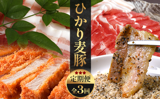 ［新春］【定期便全3回】ひかり麦豚定期便 ≪月替わりで楽しむ豚肉セット！しゃぶしゃぶ・ロース肉・焼肉セットをお届け！≫ 冷凍 HM-18 | 肉 お肉 にく 豚肉 精肉 焼き肉 焼肉 やきにく バーベキュー ロース肉 肩ロース バラ肉 生姜焼き とんかつ しゃぶしゃぶ 真空冷凍 産地直送 小分け パック 手作り 鹿児島県 南大隅町 ひかり麦豚直売所