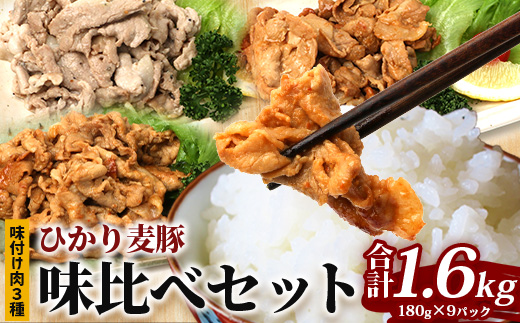 鹿児島県産 ひかり麦豚 味比べセット ≪味付け肉≫ 計1.6kg （180g×9パック）みそ 塩だれ ニンニク醤油  トレーなし 冷凍 HM-4 | 肉 お肉 にく 豚肉 味噌味 塩ダレ 解凍して焼くだけ 真空冷凍 新鮮 小分け おかず 産地直送 鹿児島県 南大隅町 ひかり麦豚直売所