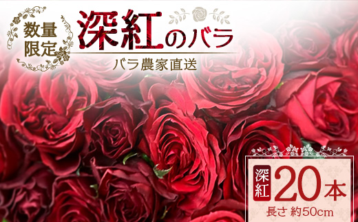 ※画像はイメージです。