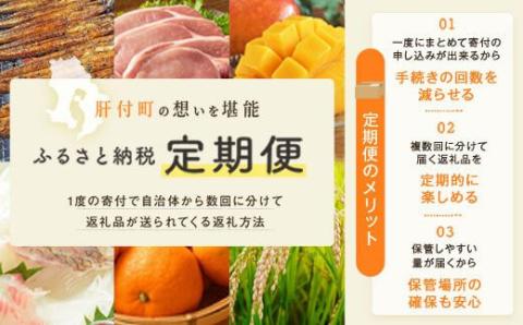 ＜定期便・全5回＞かごしま黒豚ふるさと定期便 ファミリーセットB(月1回×5ヶ月)