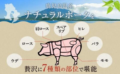 鹿児島県産豚1頭ブロックセット(6箱一括送付）