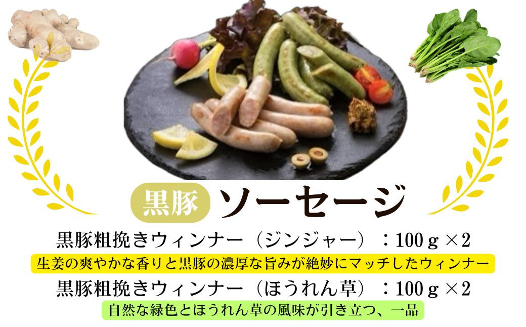 南州農場 黒豚生ハム・ソーセージ詰合せ＜あらびきウィンナー(ほうれん草 100g×2 / ジンジャー 100g×2)・コッパ40g×1＞