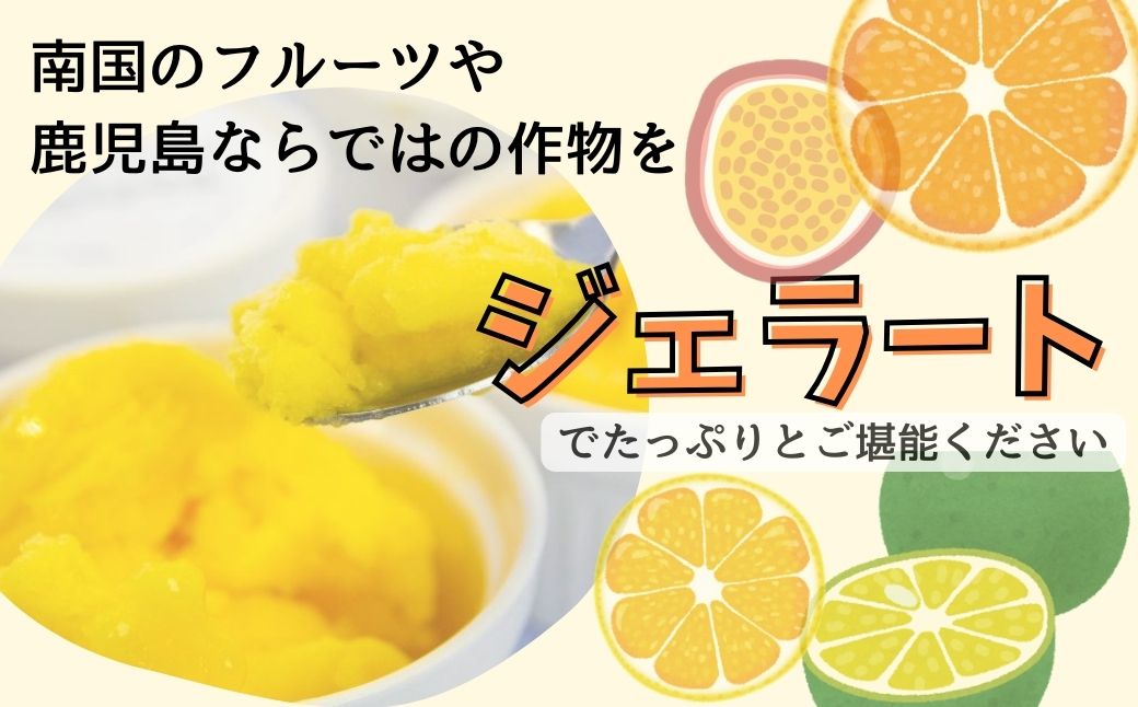 <先行受付><2026年4月以降順次発送>南のくだもの王国 かごしま フルーツジェラート 食べ比べ セット (8種 8個入り)