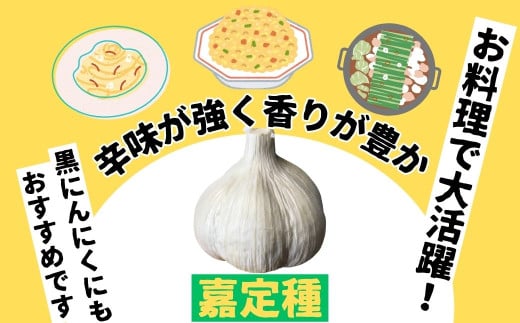 農家直送 鹿児島県産 にんにく(計1kg)
