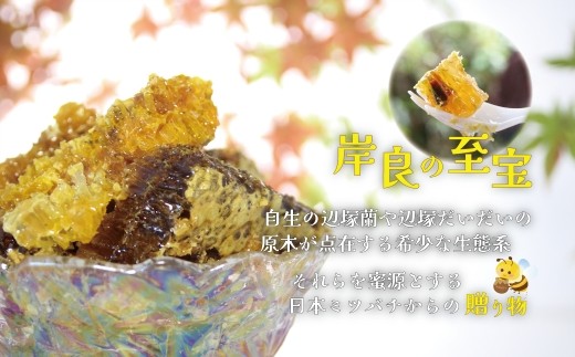 日本ミツバチ 生百花 蜂蜜(約350g)