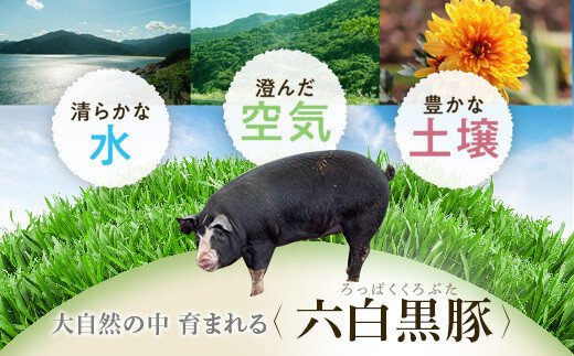 特選黒豚(約1.1kg)、黒豚餃子(計36個・12個入り×3P)、冷凍やきいも(約800g)セット！