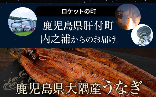 うなぎ蒲焼・大(有頭)(3尾・計480g以上、タレ、山椒付)