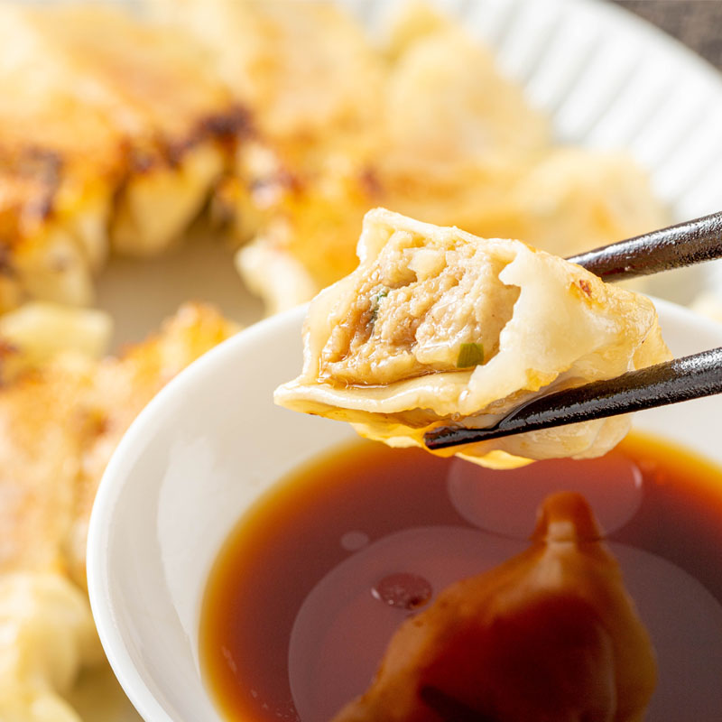 ＜定期便・全3回＞ 鹿児島県 肝付町産 黒豚 餃子 ギョーザ (1回120個・12個入 10パック)