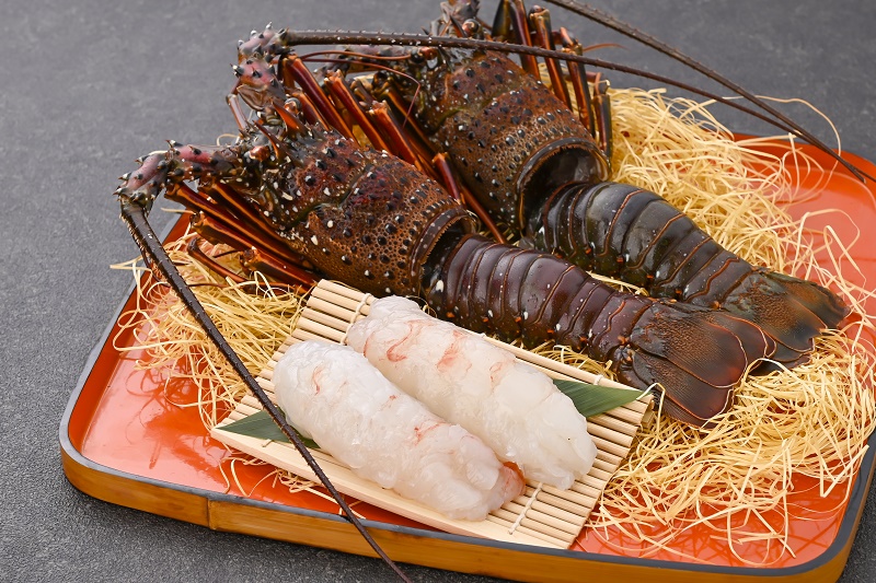 【活き〆冷凍】肝付町内之浦産　伊勢海老（えっがね）の刺身〈約650ｇ〉