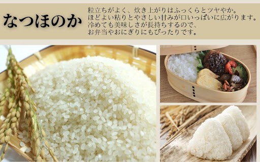 ＜定期便・計3回(連続)＞農家直送 令和7年産 新米 鹿児島県産 なつほのか 15kg （5kg×3回）国産 自家精米 精米 白米 ごはん ご飯 お米 コメ こめ【悠希農園】