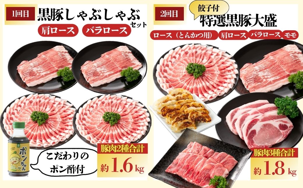 ＜定期便・全5回(毎月)＞バラエティーセットA！