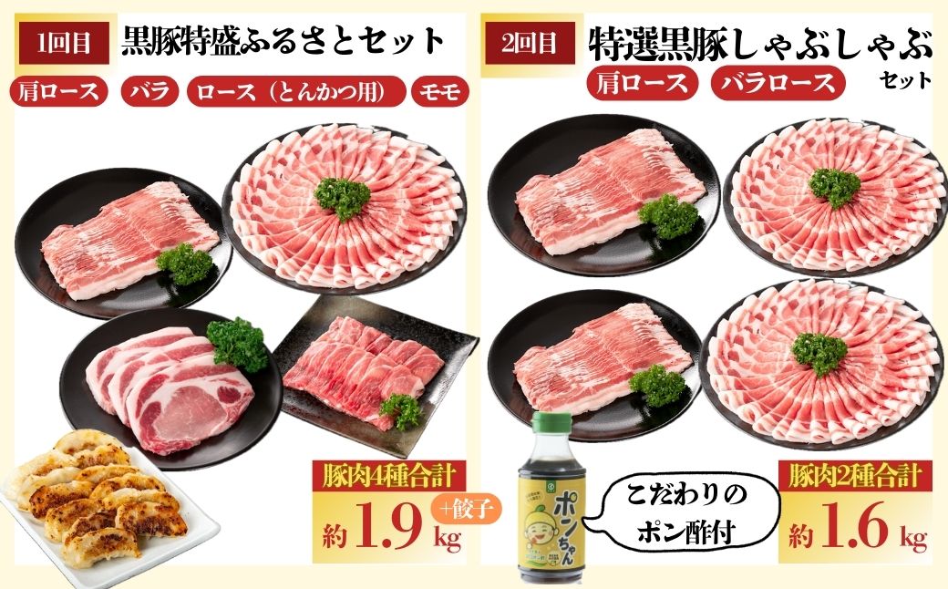 ＜定期便・全5回(毎月)＞バラエティーセットB！