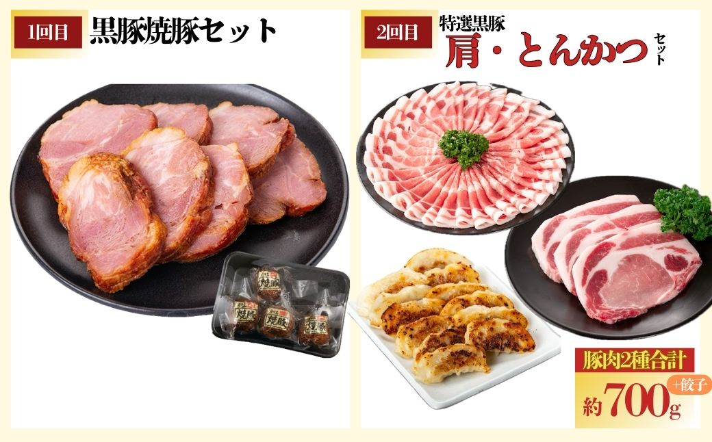 ＜定期便・全10回＞かごしま黒豚ふるさと定期便 ファミリーセットD(月1回×10ヶ月)