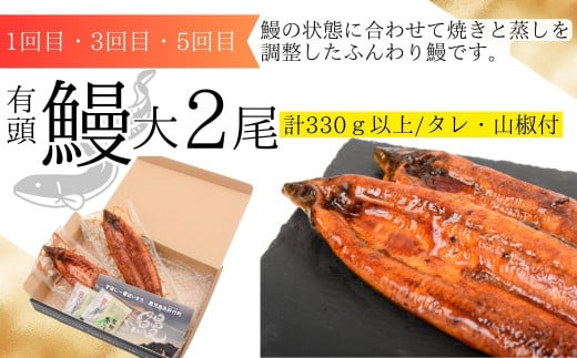  ＜定期便・全6回＞肝付町セレクト定期便《鰻と牛肉を楽しむ定期便》