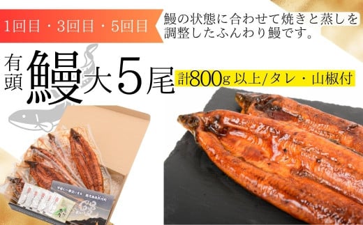 ＜定期便・全6回＞肝付町セレクト定期便《 鰻5尾と豚肉を楽しむ定期便》
