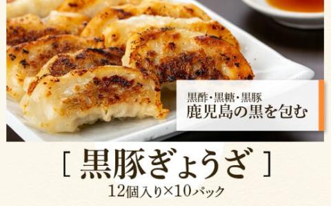 ふるさと2選B （焼豚 約200ｇ×4個、 餃子 12個入×10パック）