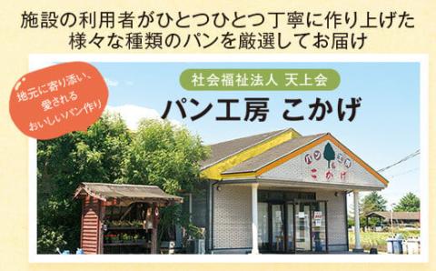 大隅産モリンガパンハーフセット