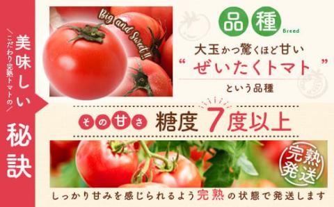 こだわり完熟トマト