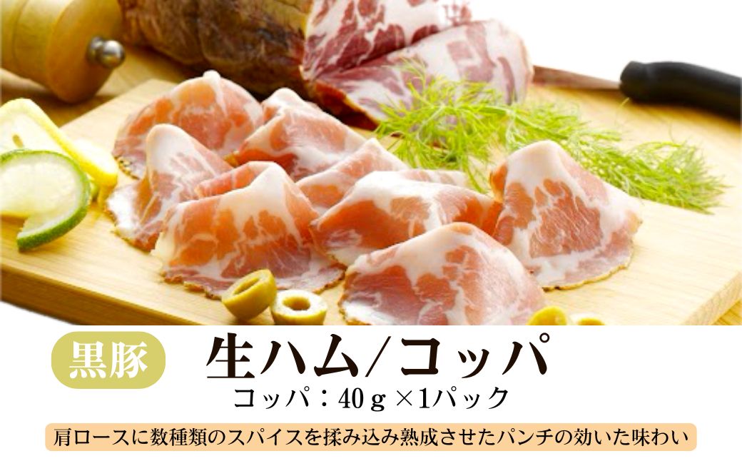 南州農場 黒豚生ハム・ソーセージ詰合せ＜あらびきウィンナー(ほうれん草 100g×2 / ジンジャー 100g×2)・コッパ40g×1＞