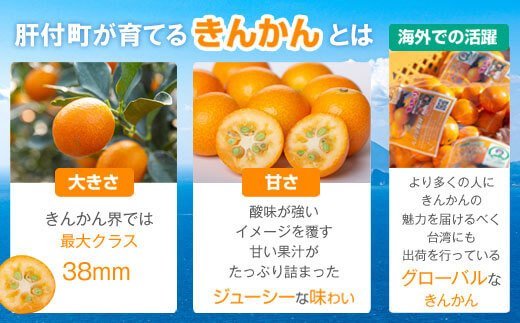 肝付町産完熟ハウスきんかん＜先行受付＞