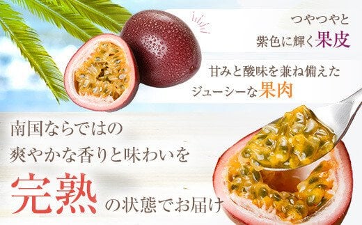 【数量限定】前村さんちのパッションフルーツ