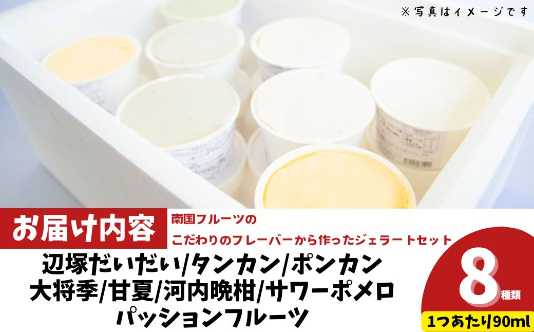 <先行受付><2026年4月以降順次発送>南のくだもの王国 かごしま フルーツジェラート 食べ比べ セット (8種 8個入り)
