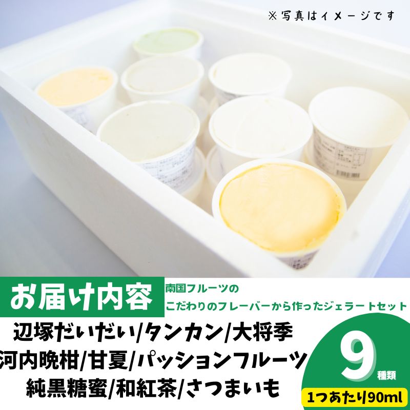 <先行受付><2026年4月以降順次発送>南のくだもの王国 南のFRUIT＆CROPS ジェラート セット (9種 9個入り)